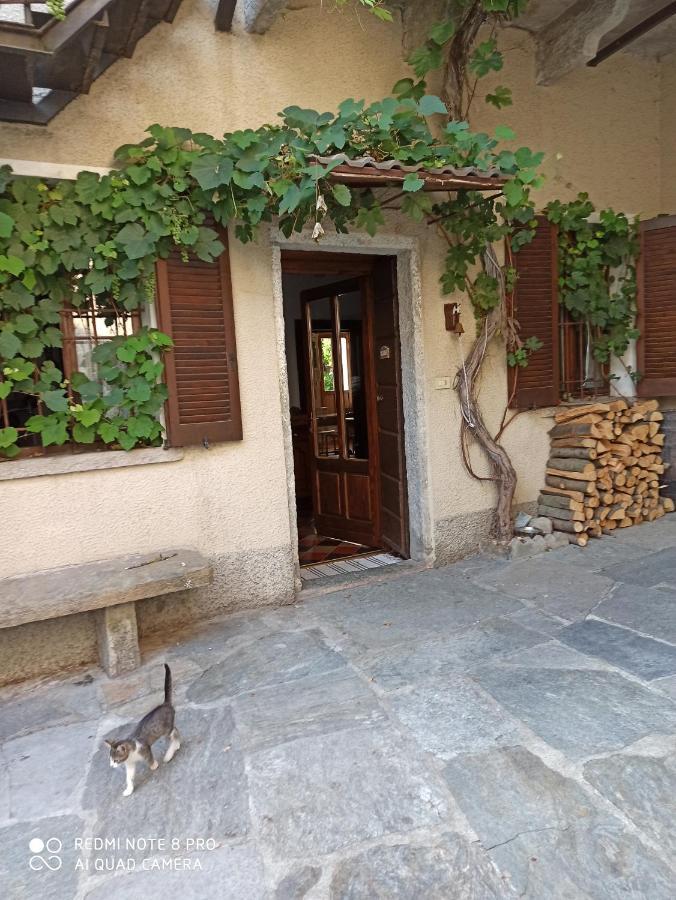 Casa Olmi Hotel Castiglione dʼIntelvi Buitenkant foto